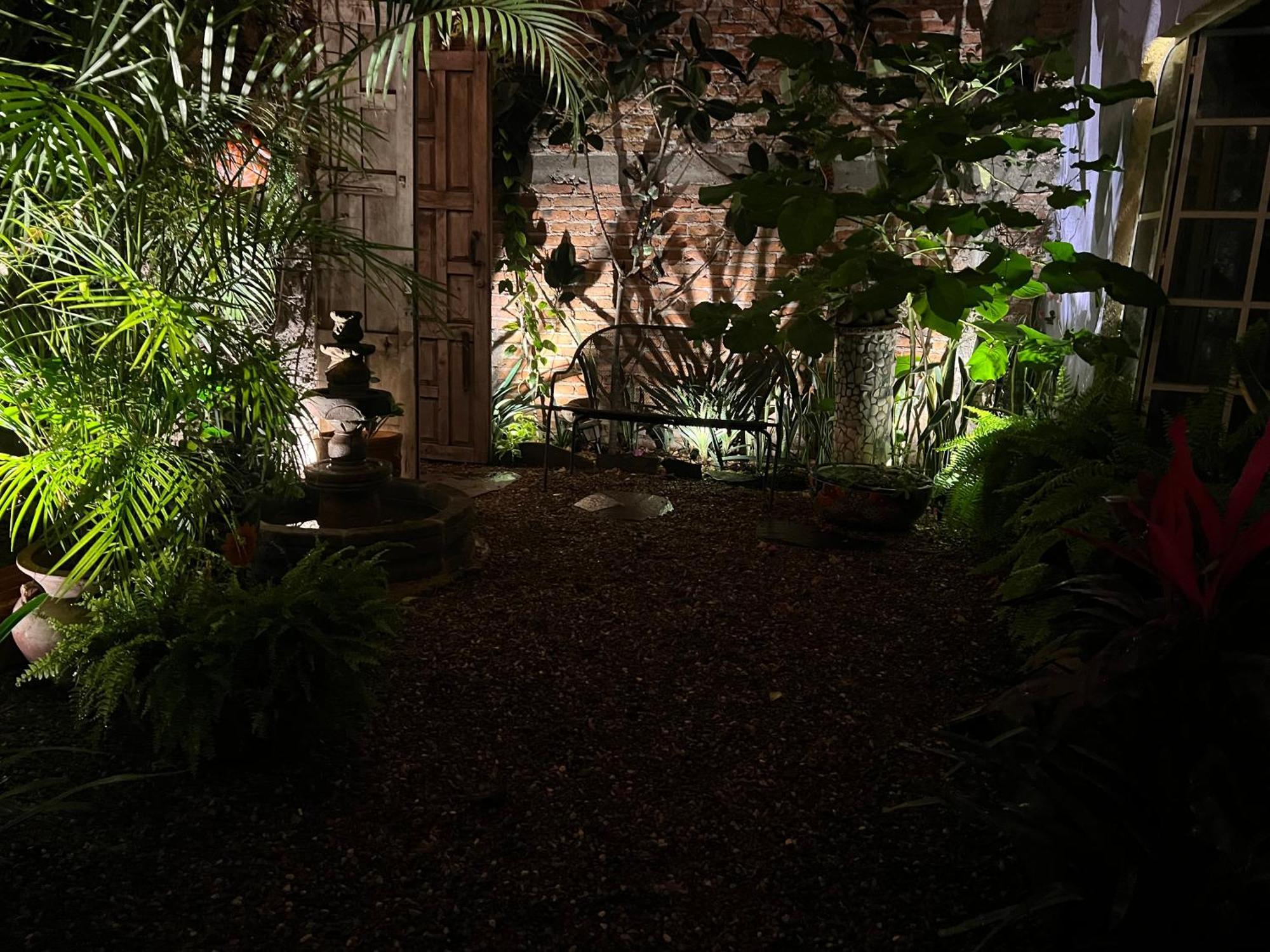 Boutique Hotel Casa Camellia San Miguel de Allende Exterior photo