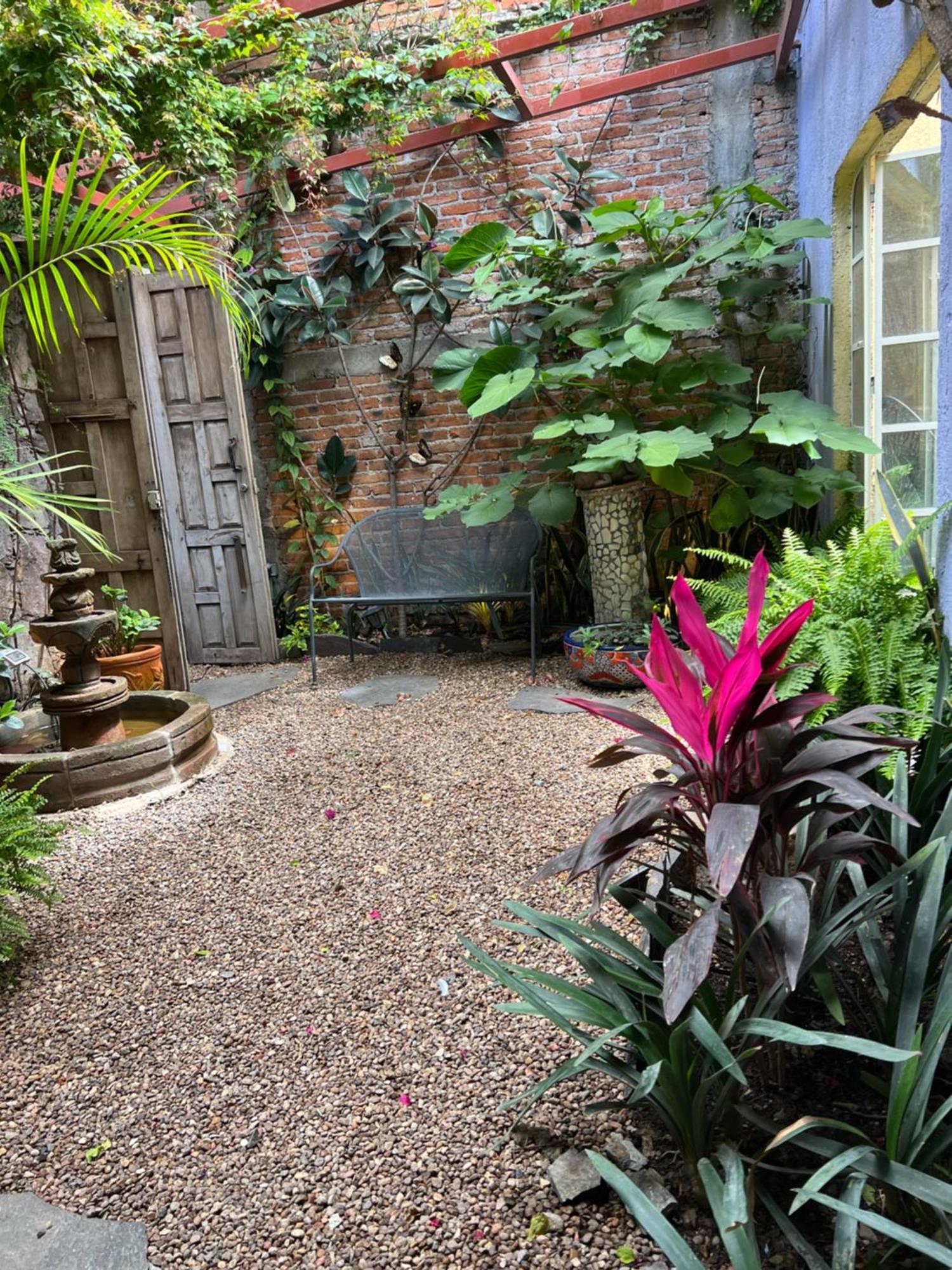 Boutique Hotel Casa Camellia San Miguel de Allende Exterior photo