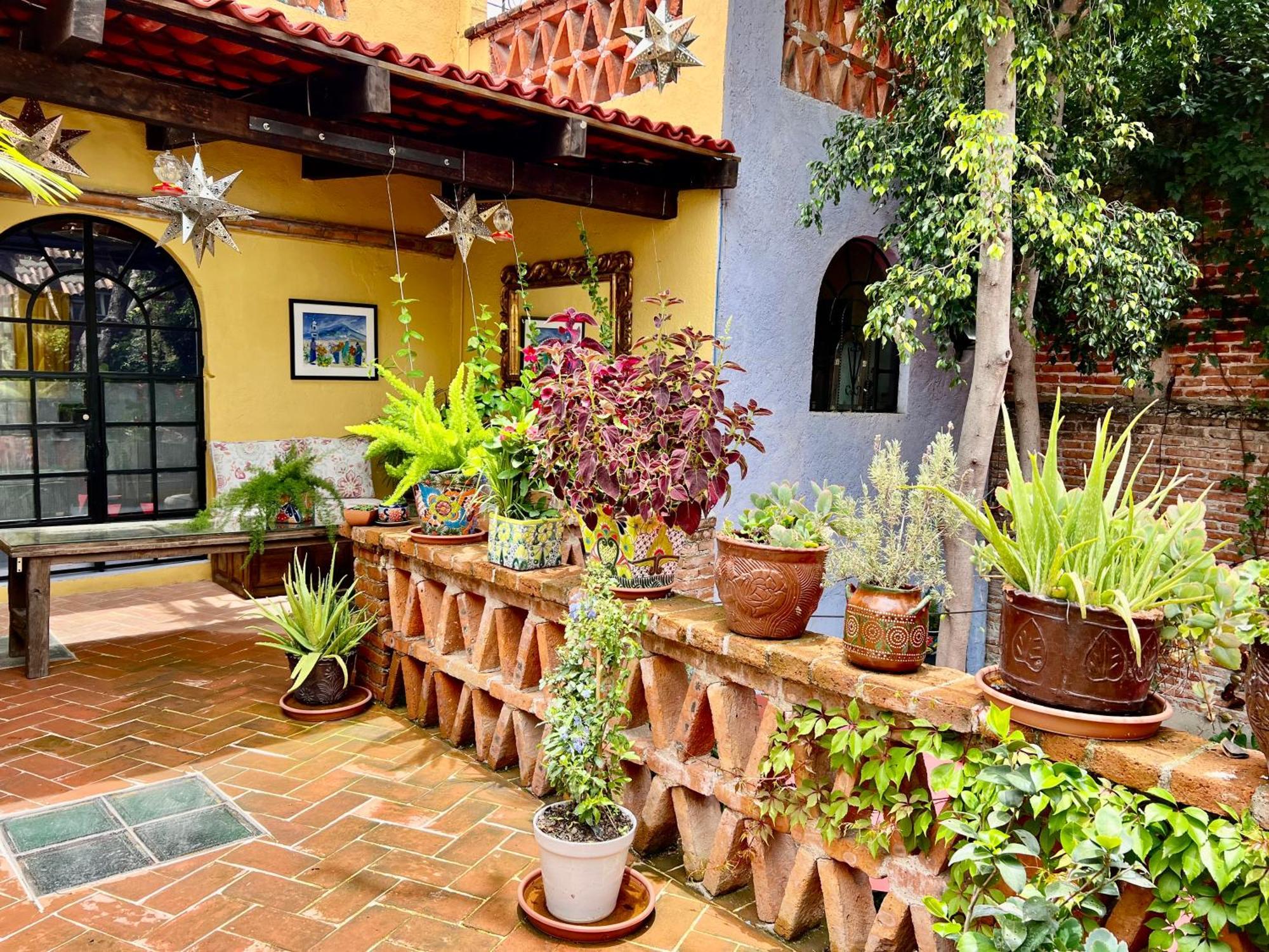 Boutique Hotel Casa Camellia San Miguel de Allende Exterior photo